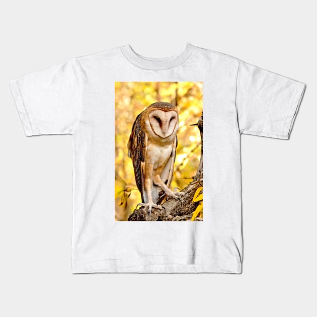 Barn Owl Kids T-Shirt by Scubagirlamy